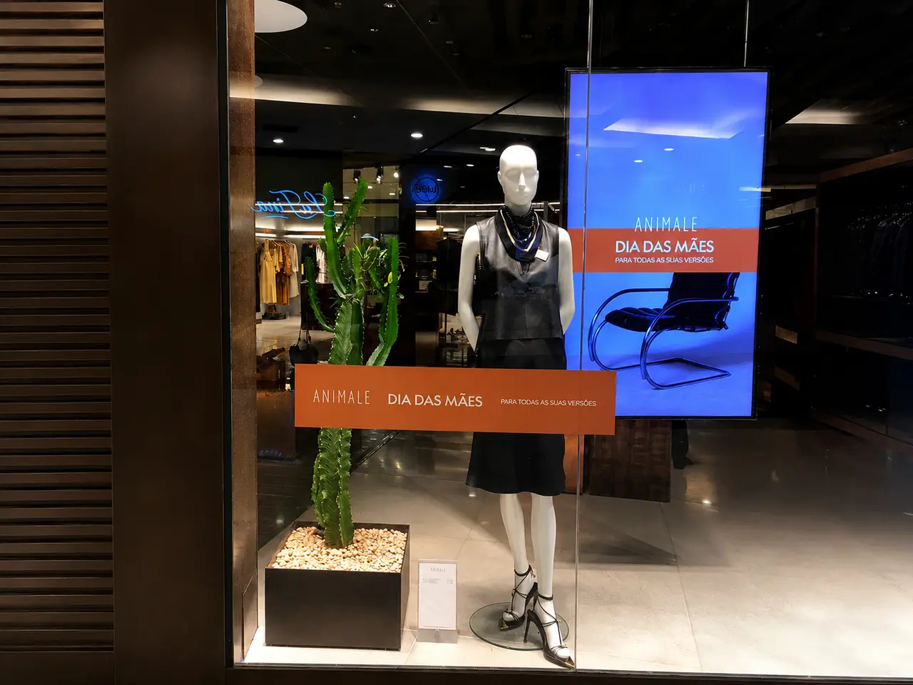 Vitrine com adesivo promocional